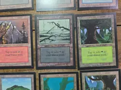 COLLECTORS' EDITION Lot 15 Cards Magic The Gathering MTG Vintage NM Crisp Land - Image 5