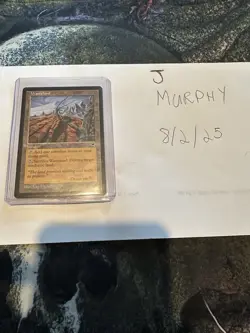 Wasteland Tempest Regular NM Condition Magic The Gathering - Image 1