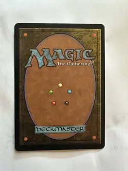 Wasteland Tempest Regular NM Condition Magic The Gathering - Image 2