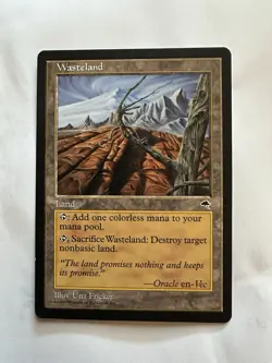 Wasteland Tempest Regular NM Condition Magic The Gathering - Image 3