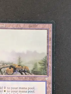 MTG Card - 1x Brushland - Ice Age - Played / HP - Vintage - Magic The Gathering - Image 4