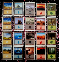 GirlGames - MTG LP 6TH EDITION COLLECTOR SET - BASIC LAND 1X EACH VINTAGE 6ED - Image 1