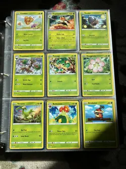 Pokemon TCG My Entire Collection: Over 800 Cards 25 RARES - Image 4