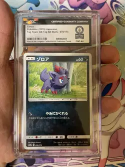 Pokemon TCG Zorua Tag Team GX Japanese-CGC World Record Breaks-Low Pop-1 Of 1 🔥 - Image 1