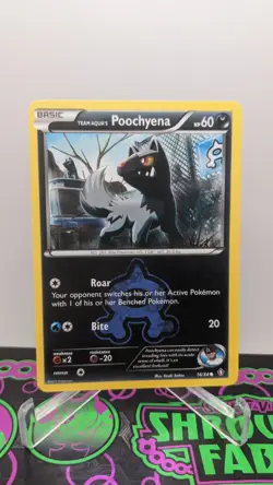 Pokemon TCG #16/34 Team Aqua's Poochyena Non Holo Double Crisis NM / Mint - Image 1