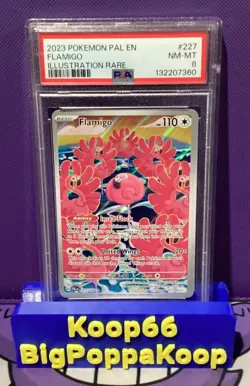 Flamigo Pokemon English 2023 SV02 Paldea Evolved Illustratin Rare #227 PSA 8 - Image 1