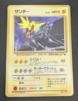 Zapdos Card Lot for jacmelkovit0 (reserved listing) - Image 3