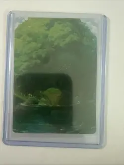 Forest Art Card Regular Art Card 54/54 Avatar MTG NM - Image 5