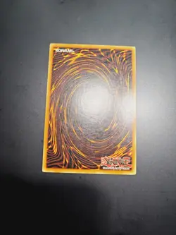 Konami Dark Paladin Secret Rare DMG-001 Limited Edition Yu-Gi-Oh! TCG (Crease) - Image 3