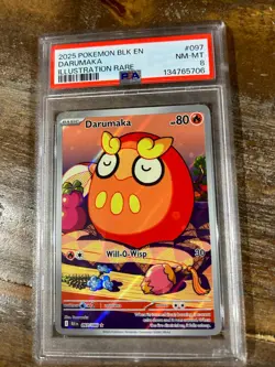 POKEMON 2025 Black Bolt Illustration Rare DARUMAKA #097 PSA 8 RARE - Image 1
