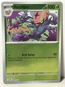 Accelgor Reverse Holo 009/086 SV: White Flare NM Pokemon Fast Ship - Image 1