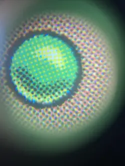 Confusion in the Ranks Mirrodin Regular - Image 4