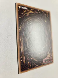 Graydle Dragon DOCS-EN048 Super Rare Yugioh Dimension of Chaos Unlimited NM - Image 5