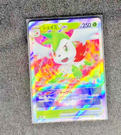Pokemon Card Japanese 15 Card Set LOT RRR x2 AR x1 CHR x1 + RR 11pcs MINT/NM - Image 5