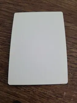 Salt Flats ARTIST PROOF Signed By Scott Kirschner Magic the Gathering - Image 2