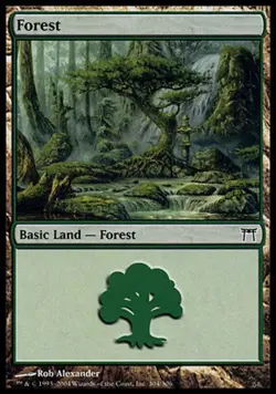 MTG Forest (304) - Foil, Champions of Kamigawa, Moderately Played, English - Image 1