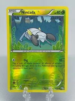 Pokemon TCG Nincada 10/124 Reverse Holo B&W Dragons Exalted 2012 English NM - Image 1