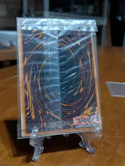 YU-GI-OH DARK PALADIN DMG-001 LIMITED EDITION SEALED TCG SECRET RARE PROMO CARD - Image 2