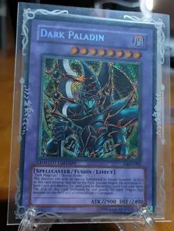 YU-GI-OH DARK PALADIN DMG-001 LIMITED EDITION SEALED TCG SECRET RARE PROMO CARD - Image 3