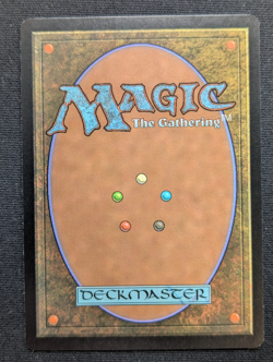 Elvish Champion - 7th Edition - NM - MTG - Magic the Gathering - Green -Creature - Image 4