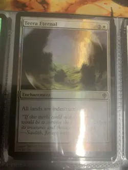 MTG Terra Eternal Worldwake 22/145 Foil Rare - Image 1