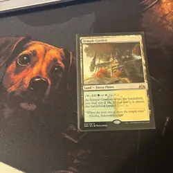 Mtg Temple Garden - Guilds Of Ravnica + Bonus Foils - Image 1