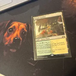 Mtg Temple Garden - Guilds Of Ravnica + Bonus Foils - Image 2