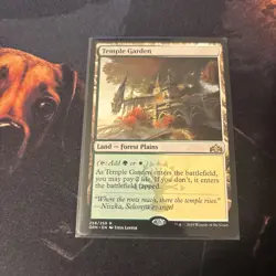 Mtg Temple Garden - Guilds Of Ravnica + Bonus Foils - Image 4