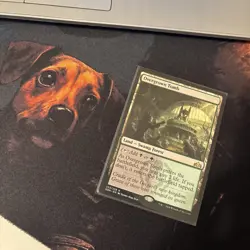 Mtg Overgrown Tomb - Guilds Of Ravnica + Bonus Foils - Image 2