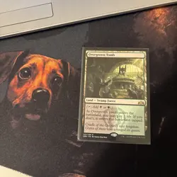 Mtg Overgrown Tomb - Guilds Of Ravnica + Bonus Foils - Image 3