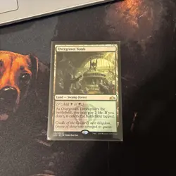Mtg Overgrown Tomb - Guilds Of Ravnica + Bonus Foils - Image 4