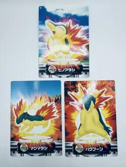 ZUKAN Carddass Cyndaquil Quilava Typhlosion Pokemon Card Japanese - Image 1