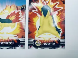 ZUKAN Carddass Cyndaquil Quilava Typhlosion Pokemon Card Japanese - Image 5