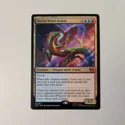 NORTH WIND AVATAR TMNT mtg - Image 1
