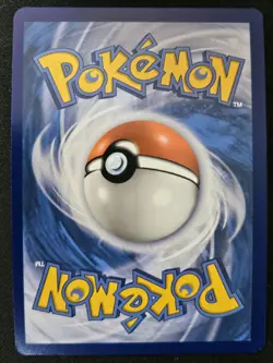 Dark Gyarados 8/82 Celebrations Classic Collection Stamped Holo Pokemon 2021 NM - Image 2