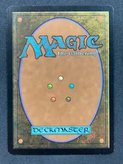 MTG magic cards 1x Tsabo's Web Invasion Light Play, English - Image 2