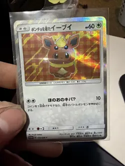 Pokemon Japanese Poncho Eevee Flareon Eevee Mega Campaign #139 Promo - Image 1