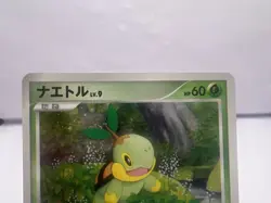Pokemon Card Turtwig Chimchar Piplup Players Fan Club Promo Holo Japanese - Image 3