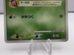 Pokemon Card Turtwig Chimchar Piplup Players Fan Club Promo Holo Japanese - Image 4