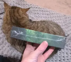 MTG: Commander Collection: Green - FACTORY SEALED - 2020 Chase Commander Cards!! - Image 2