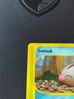 Swinub 107/144 Skyridge Non-Holo Card Regular E READER Yuka Morii NM - Image 2