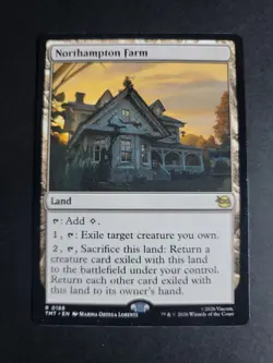 Northampton Farm Rare MTG Ninja Turtles - Image 1