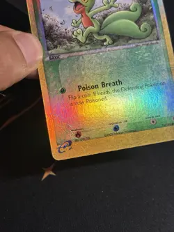 Treecko Reverse Holo Card 75/109 Ex Ruby and Sapphire Base Pokemon MP HP - Image 5