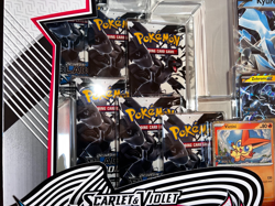 POKEMON UNOVA HEAVY HITTERS PREMIUM COLLECTION SCARLET & VIOLET B BOLT & W FLARE - Image 4