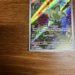 Pokemon TCG Sprigatito 196/193 Sv02: Paldea Evolved Full Art Nintendo 2023 NM - Image 4