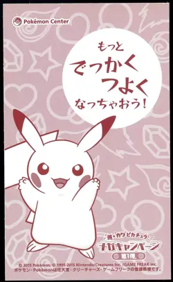 Pokemon 2015 Japanese Poncho Wearing Pikachu Business Card Charizard Y - Image 2