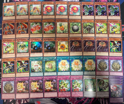 YUGIOH - NATURIA DECK - CHERRIES, BEAST, BARKION, FOREST, SACRED TREE, HORNEEDLE - Image 1