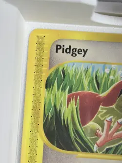 Pokemon Pidgey 123/165 Expedition Base Set 40 HP Komiya Reverse Holo Card - Image 3