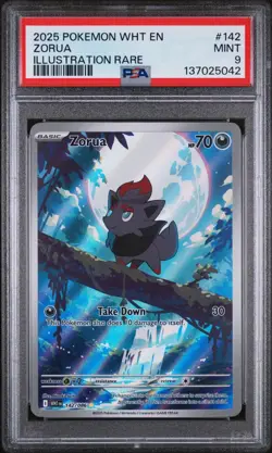 ZORUA #142 ILLUSTRATION RARE 2025 POKEMON WHT EN WHITE FLARE PSA 9 MINT - Image 1