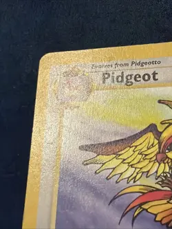 Pokemon TCG Pidgeot 1st Edition Jungle non holo Rare 24/64 - Image 2